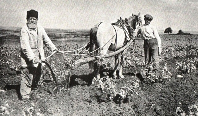 Jewish_workers_ploughing_in_the_Galilee_1913