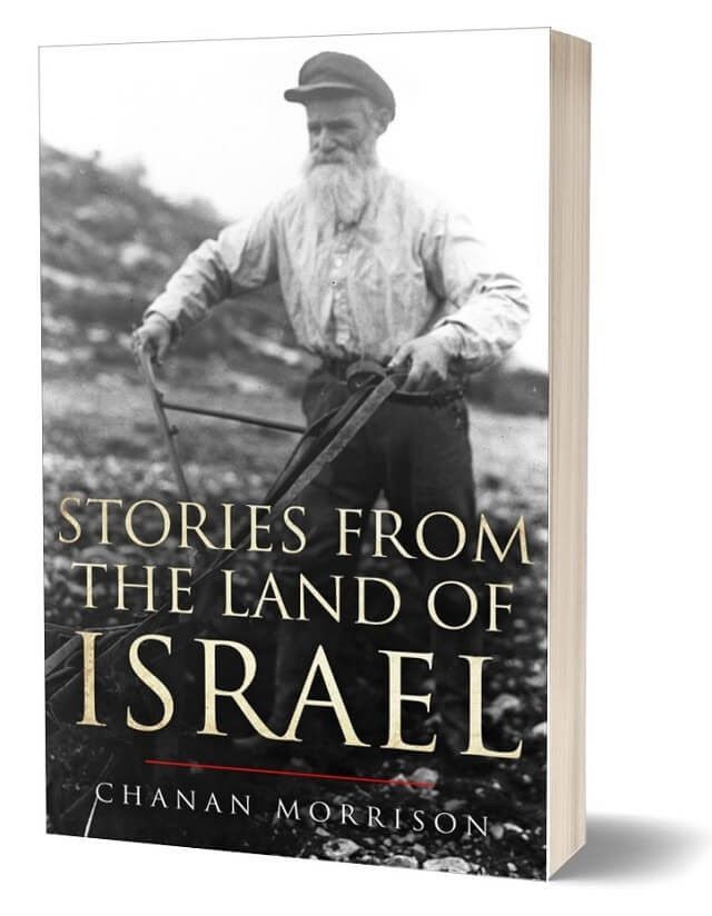 Stories from the Land of Israel Cover