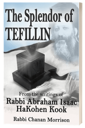 The Spendor of Tefillin