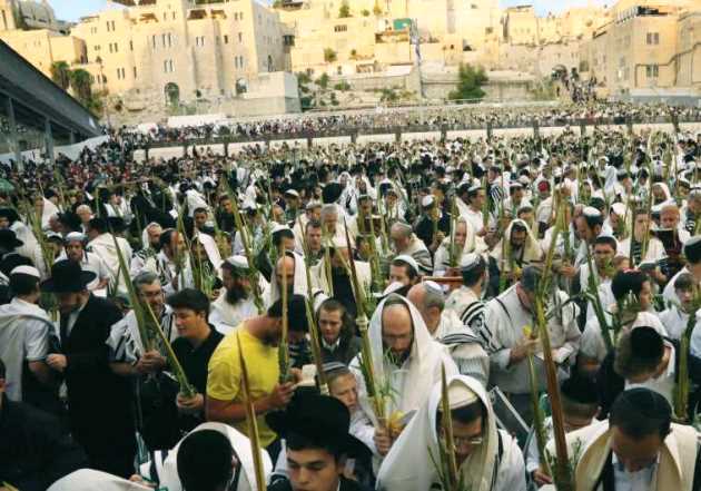 Sukkot_at_Kotel